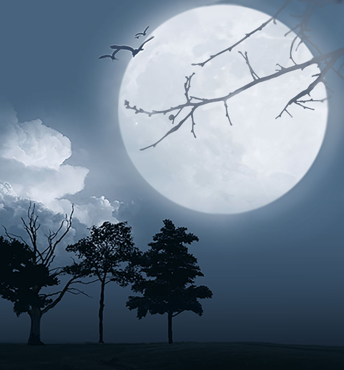 We Are the Moon