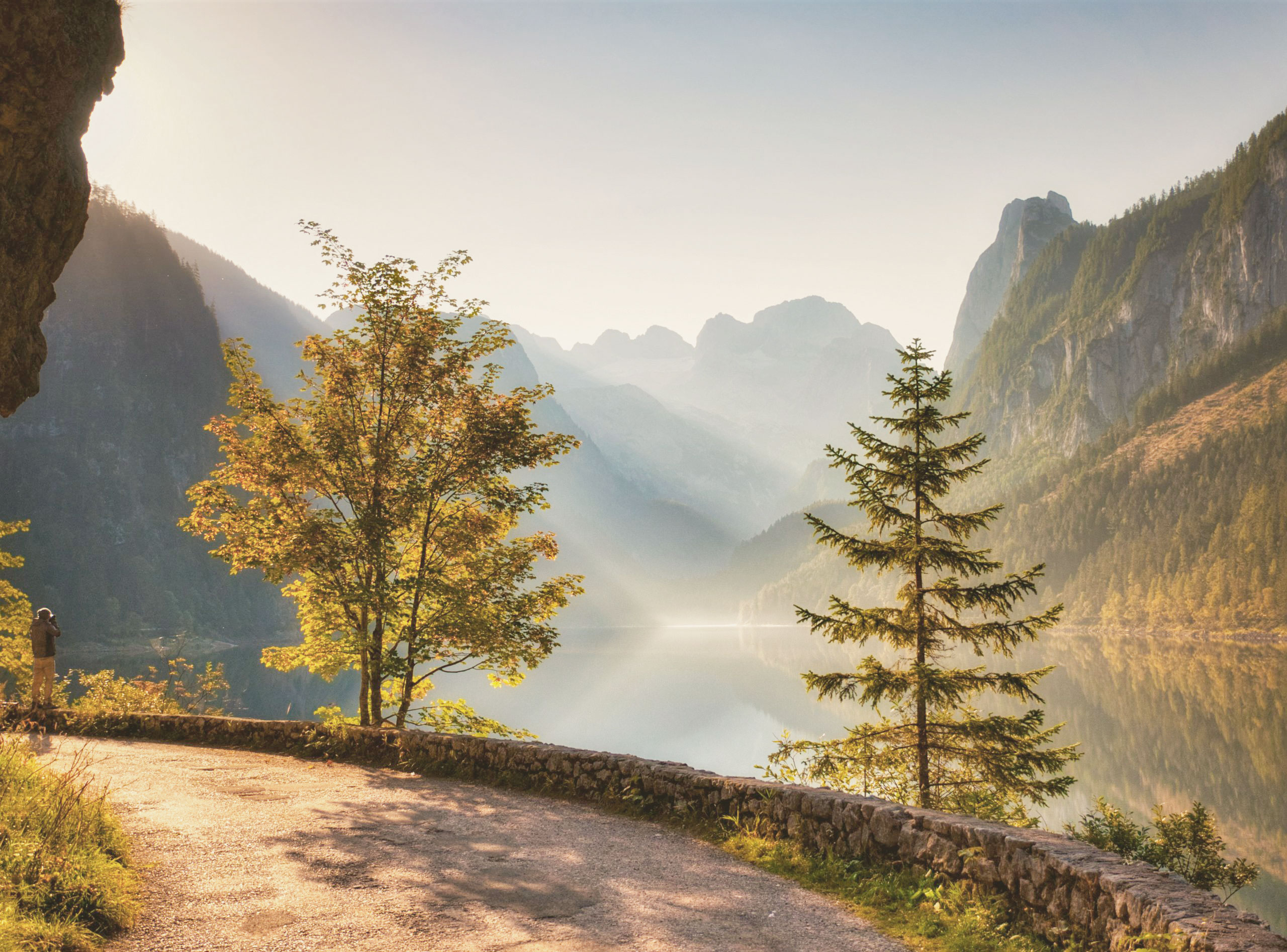 A quiet path through morning mist