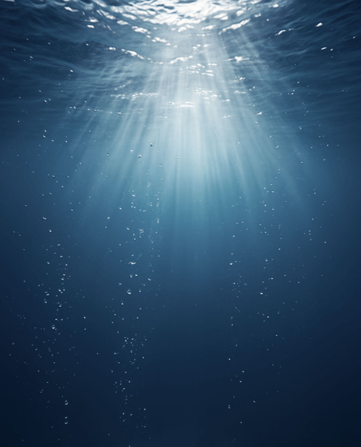 Beneath the Sea