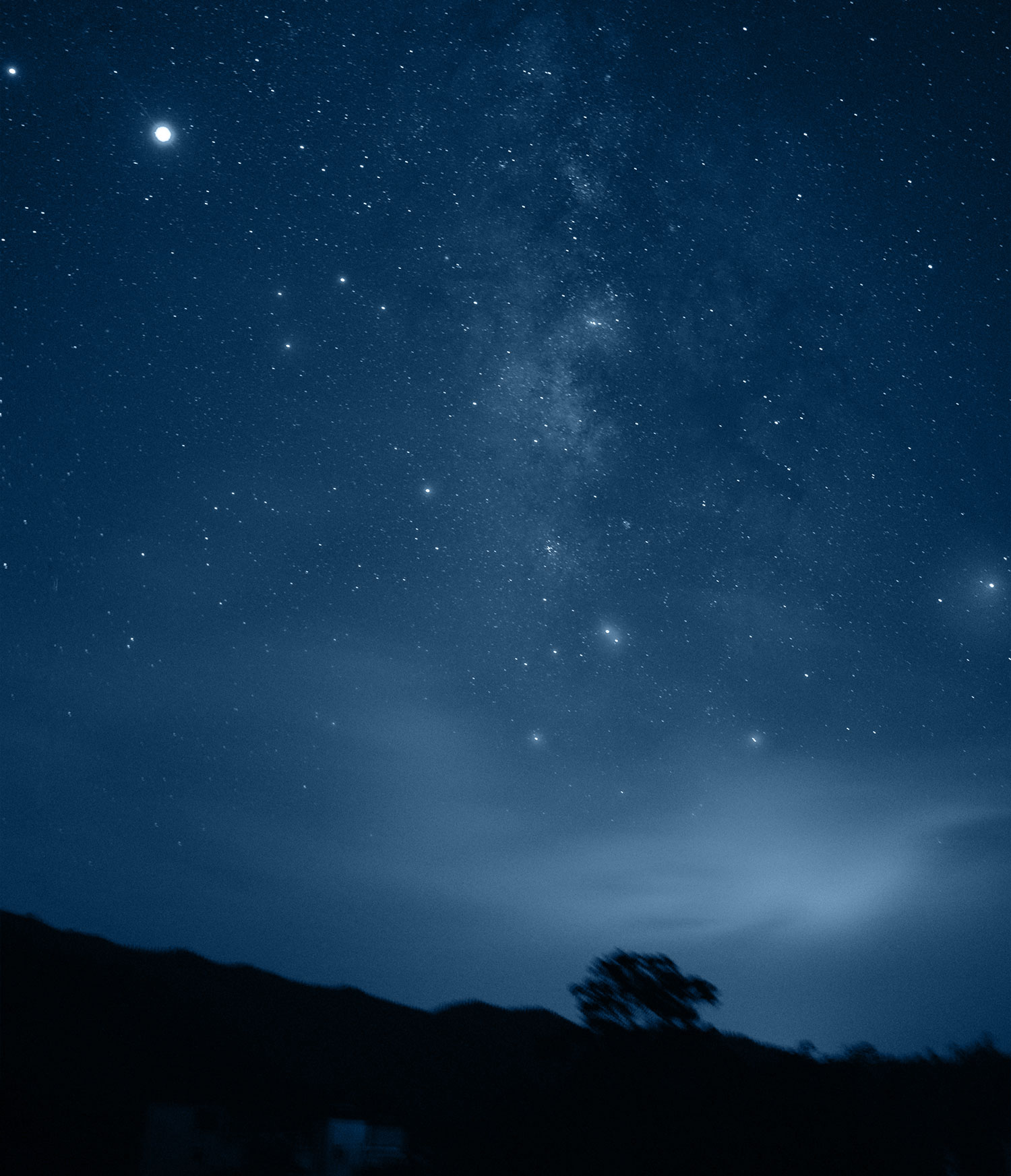 Among the Stars