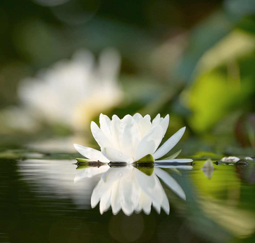 Kundalini Meditation for Emotional Balance