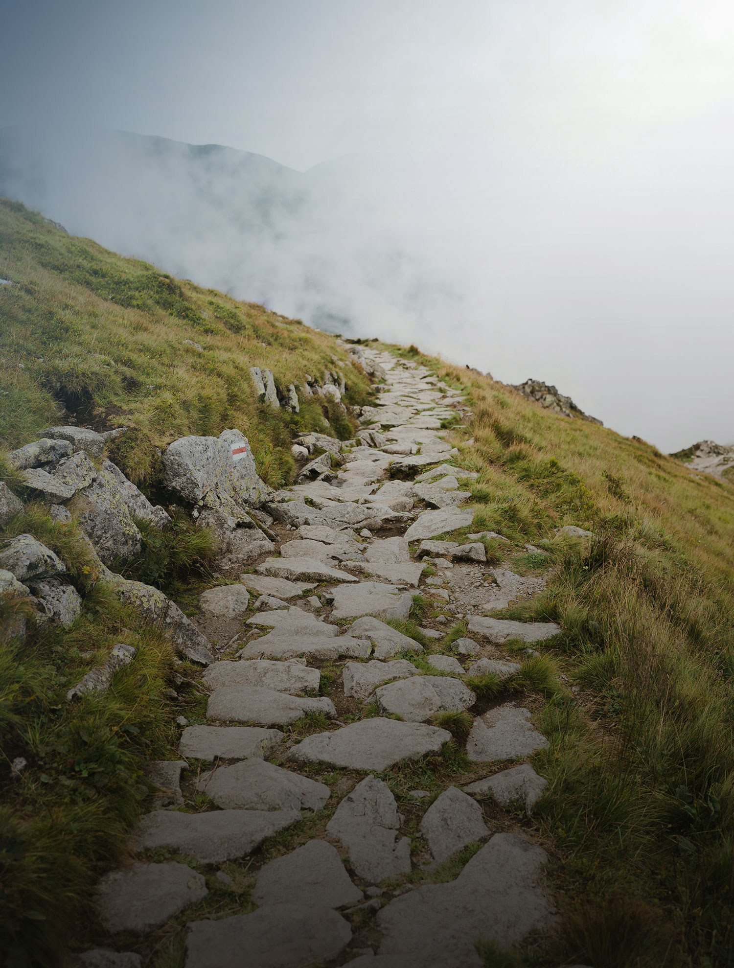 Sacred Steps